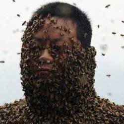 Китайский пчеловод надел костюм из 460 тысяч пчел